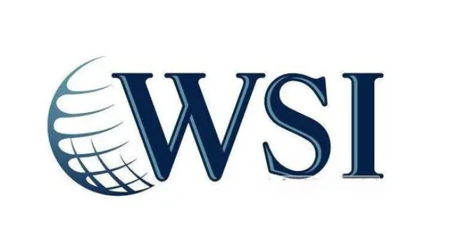 WSI.png