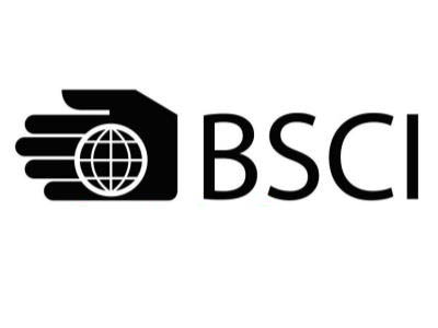泰达惠集团BSCI验厂咨询辅导服务